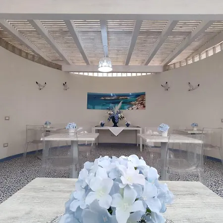 Plaza Bed & Breakfast