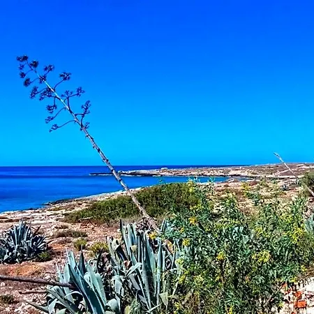 Bed & Breakfast Plaza Lampedusa