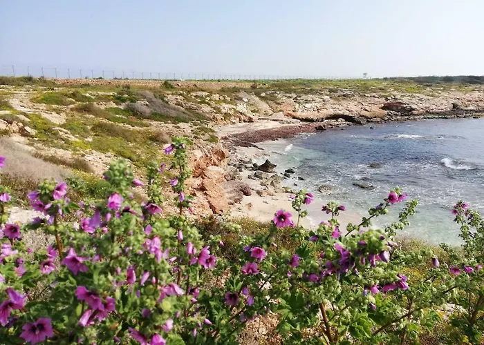 Plaza Bed & Breakfast